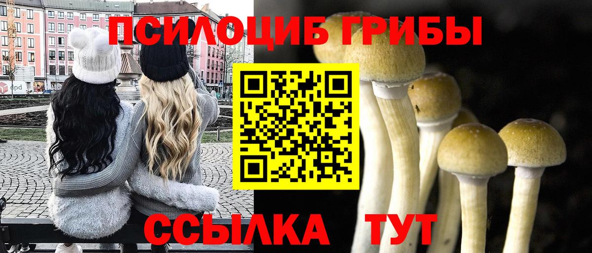Галлюциногенные грибы GOLDEN TEACHER Миасс