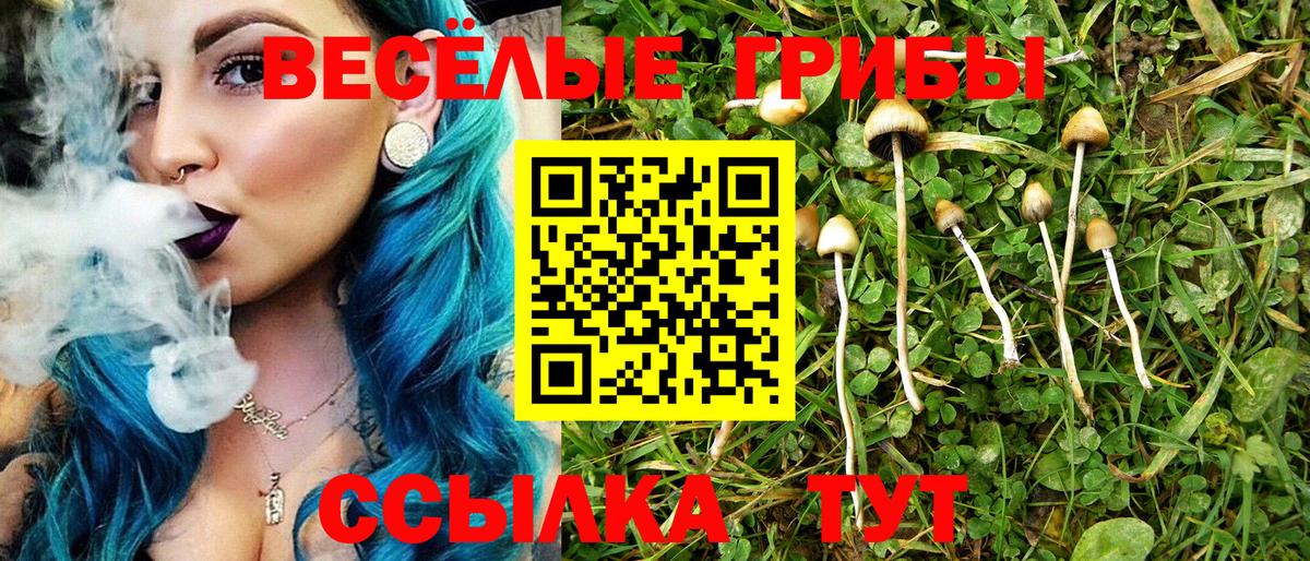 Миасс  Псилоцибиновые грибы ЛСД  Псилоцибиновые грибы Psilocybe  Вход с VPN 